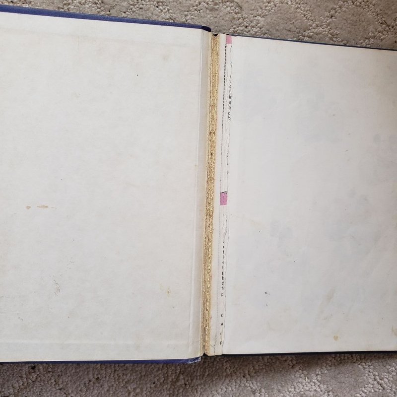 The Sorcerer's Apprentice