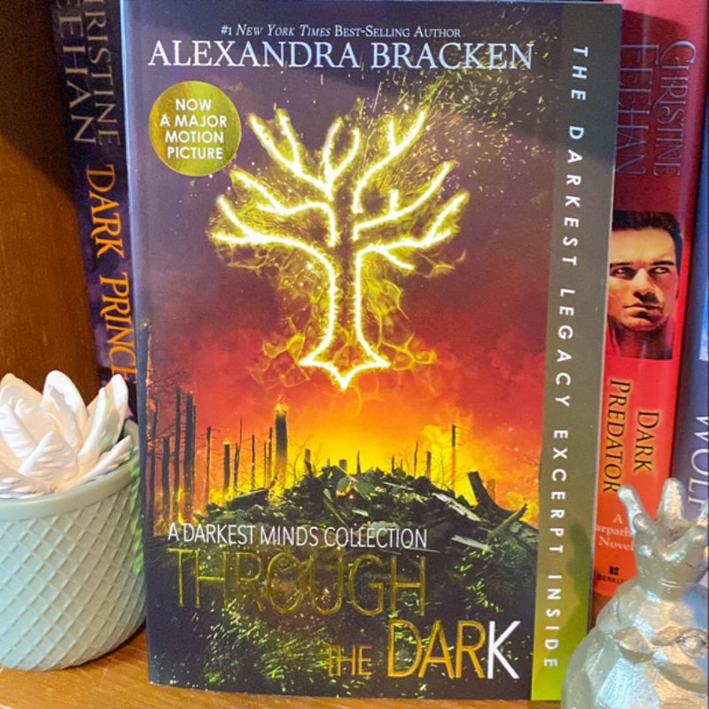 The Darkest Minds - bundle