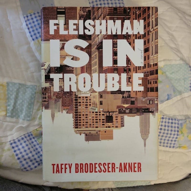 Fleishman Is in Trouble