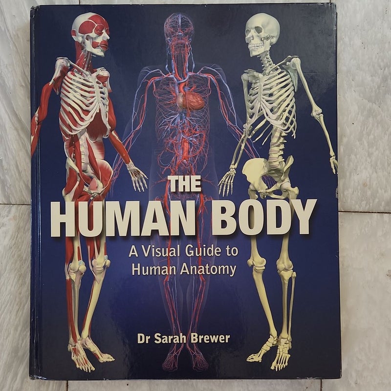 The Human Body