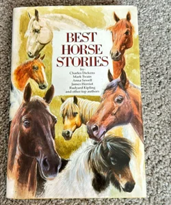 Best Horse Stories