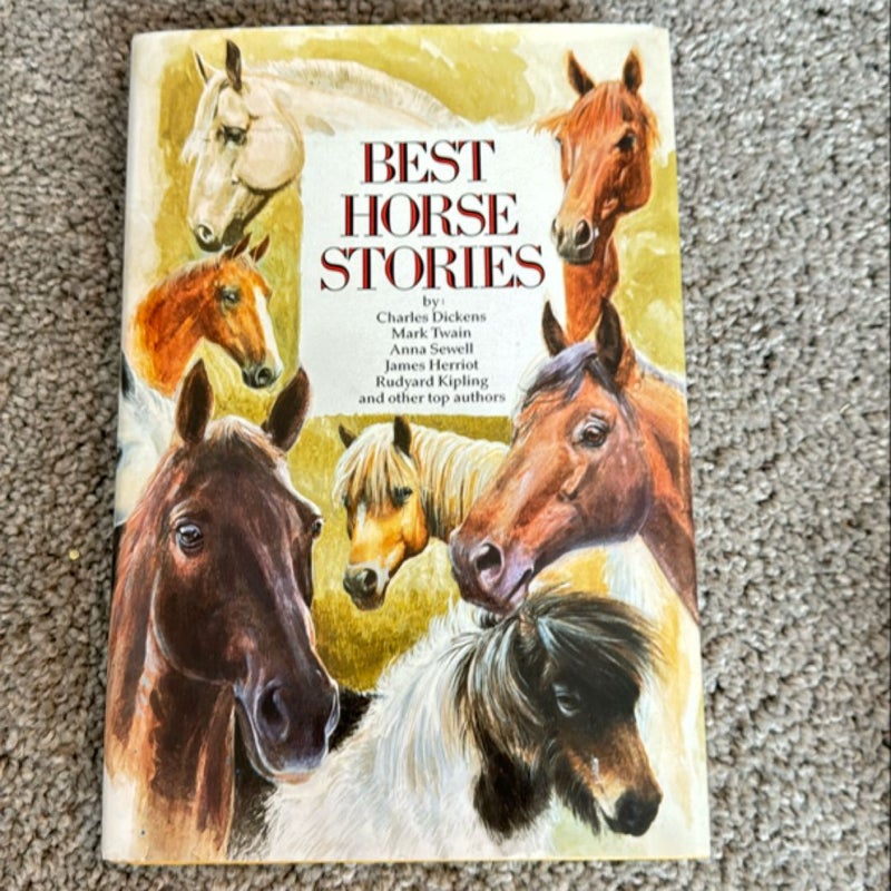 Best Horse Stories