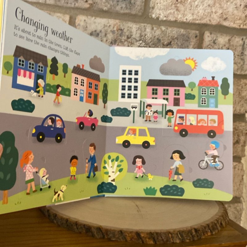 Lift-The-Flap Seasons and Weather IR