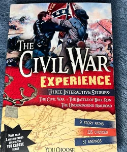 The Civil War Experience