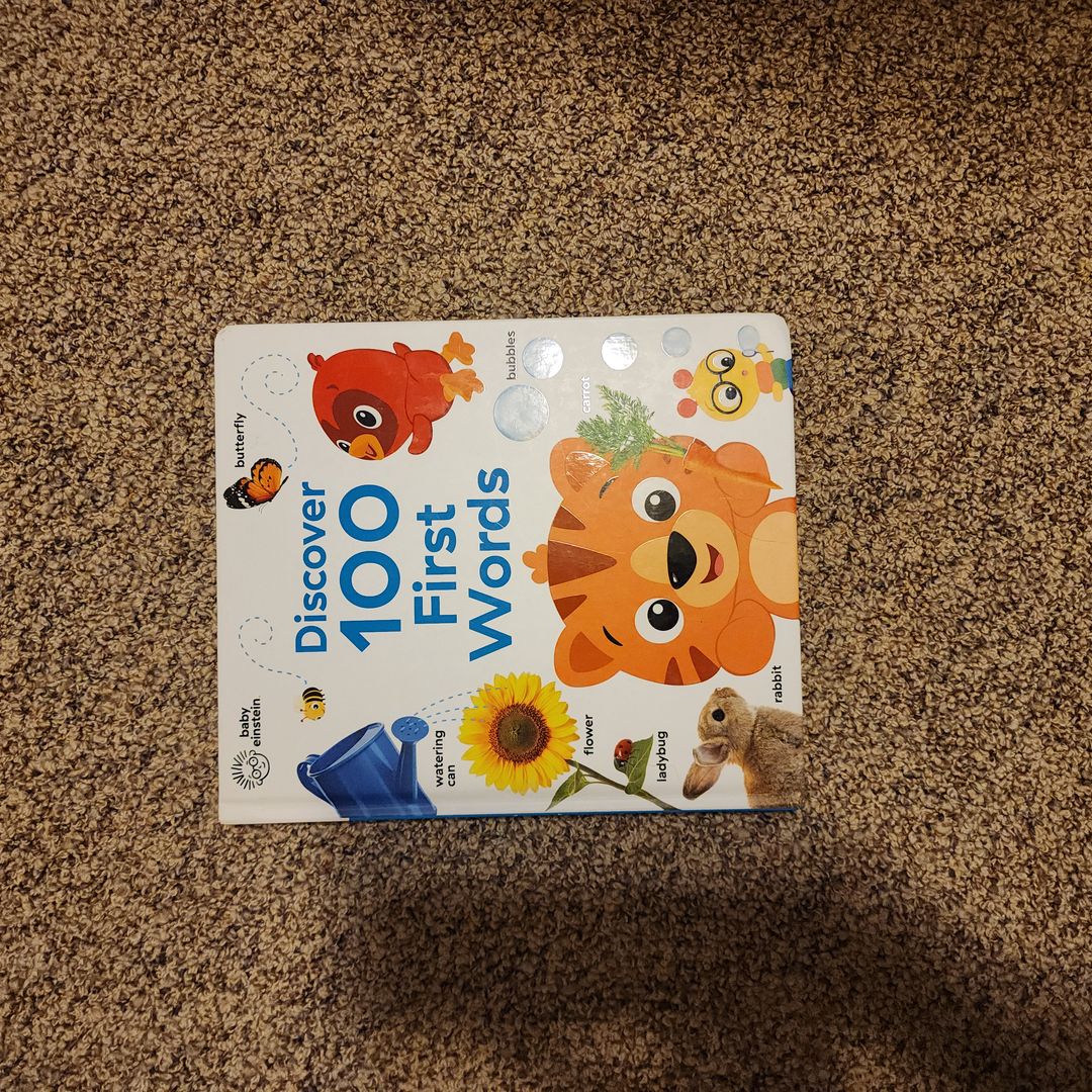 Discover 100 First Words