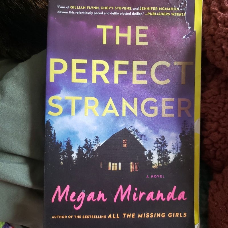 The Perfect Stranger