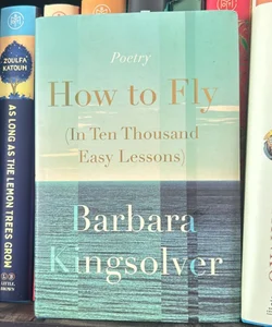 How to Fly (in Ten Thousand Easy Lessons)