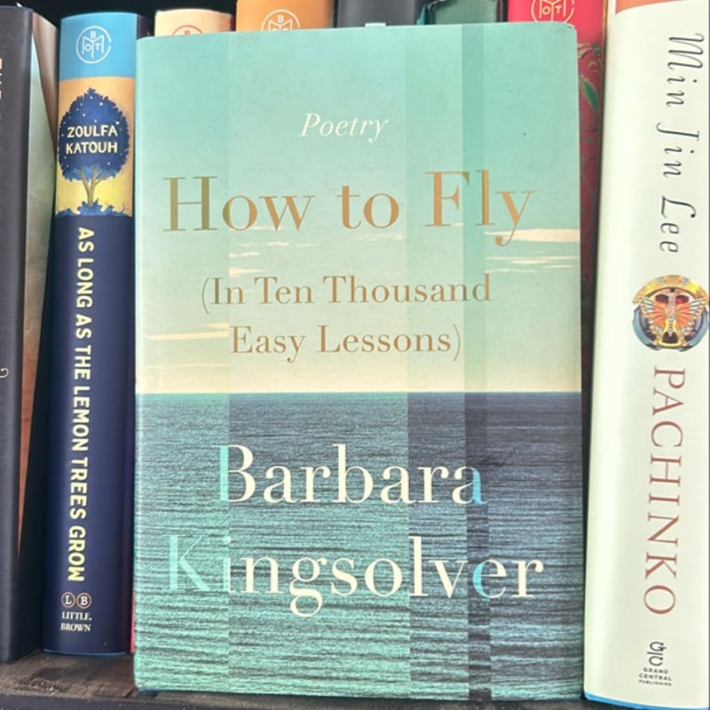 How to Fly (in Ten Thousand Easy Lessons)