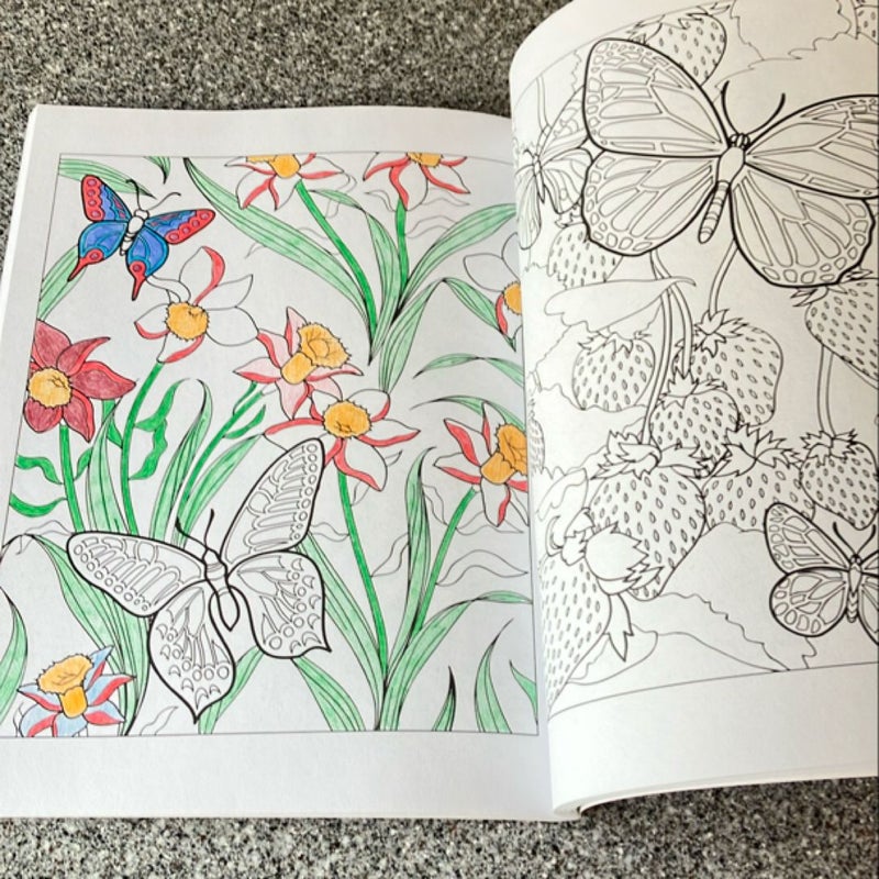 3-D Coloring Book - Butterfly Designs