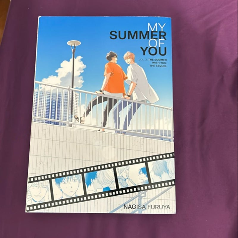 The Summer with You: the Sequel (My Summer of You Vol. 3)