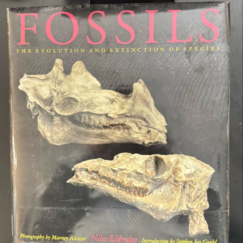 Fossils