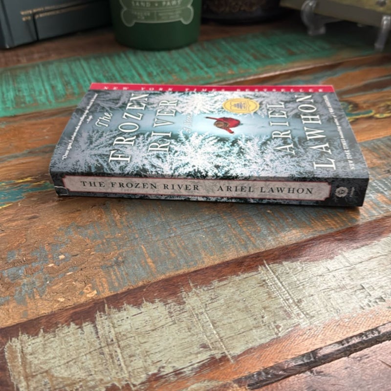 The Frozen River: a GMA Book Club Pick