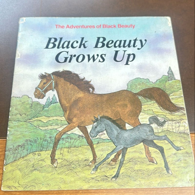 Black Beauty Grows Up