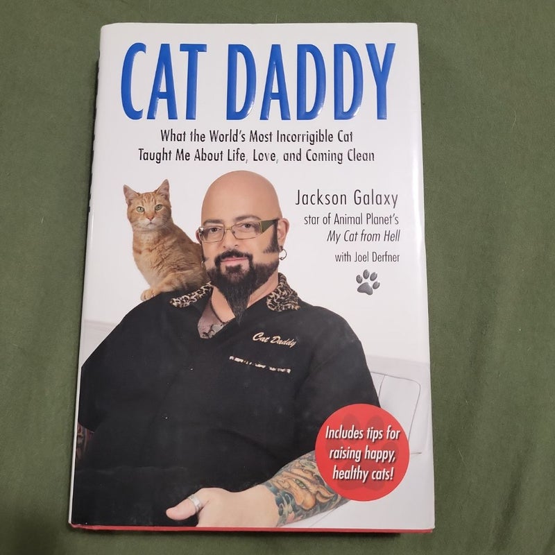 Cat Daddy