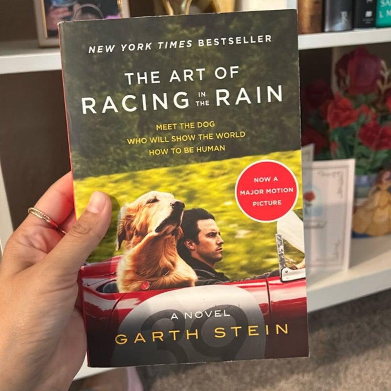The Art of Racing in the Rain Tie-In