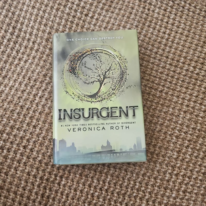 Divergent series (hardcover)