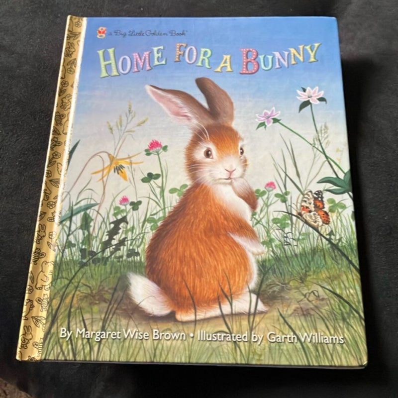 Home for a Bunny (Large Hardcover)