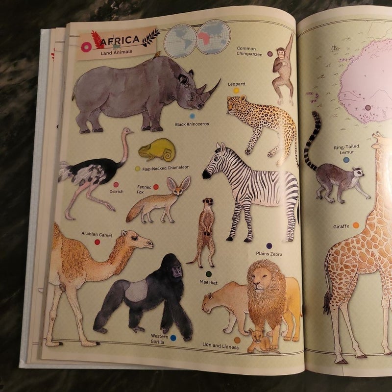 Animal Atlas