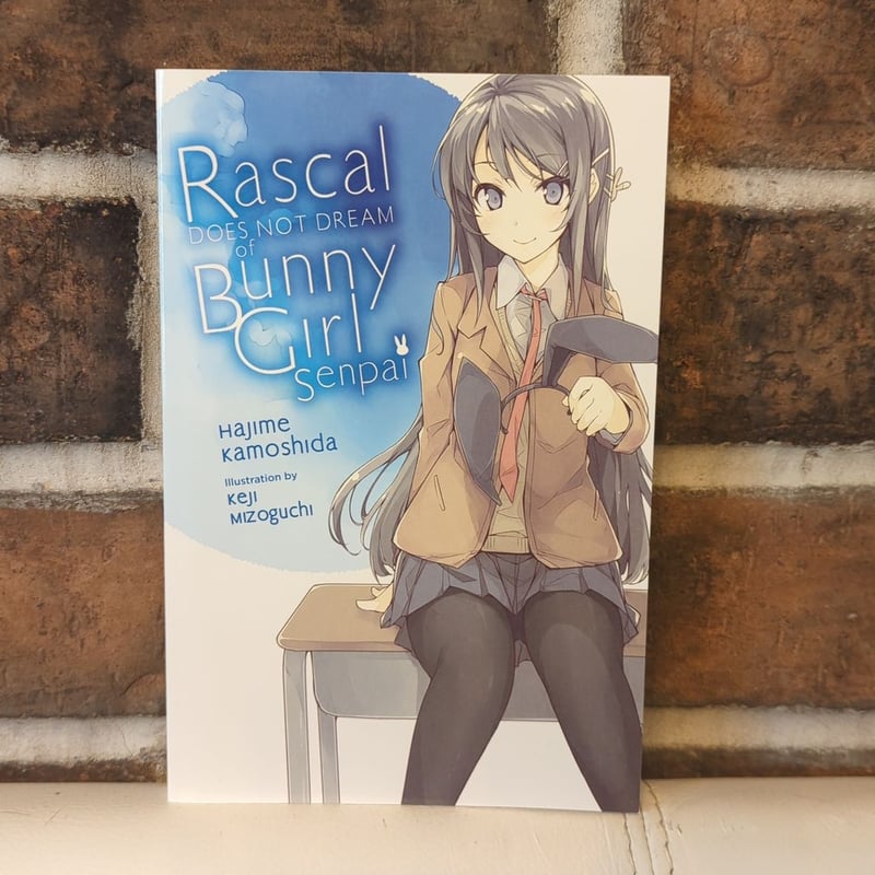 Rascal Does Not Dream of Bunny Girl Senpai (light Novel)