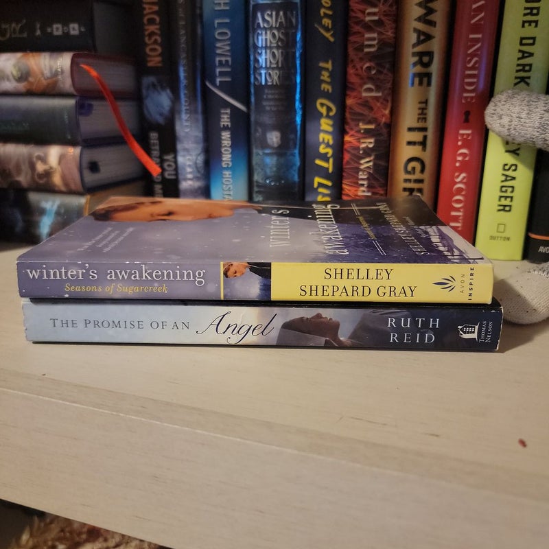 Amish romance books