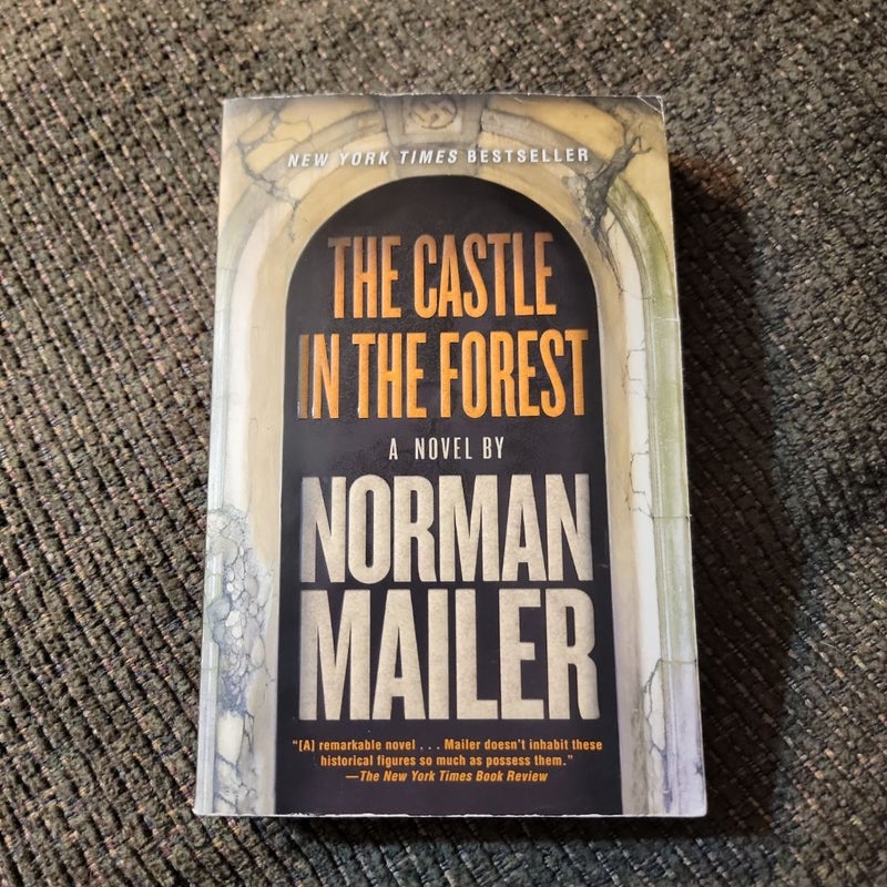 The Castle in the Forest