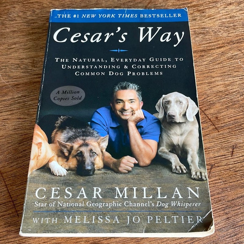 Cesar's Way