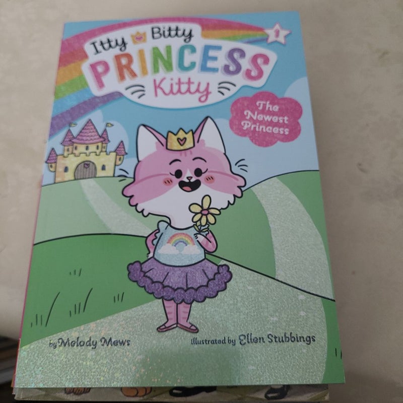 Itty Bitty Princess Kitty
