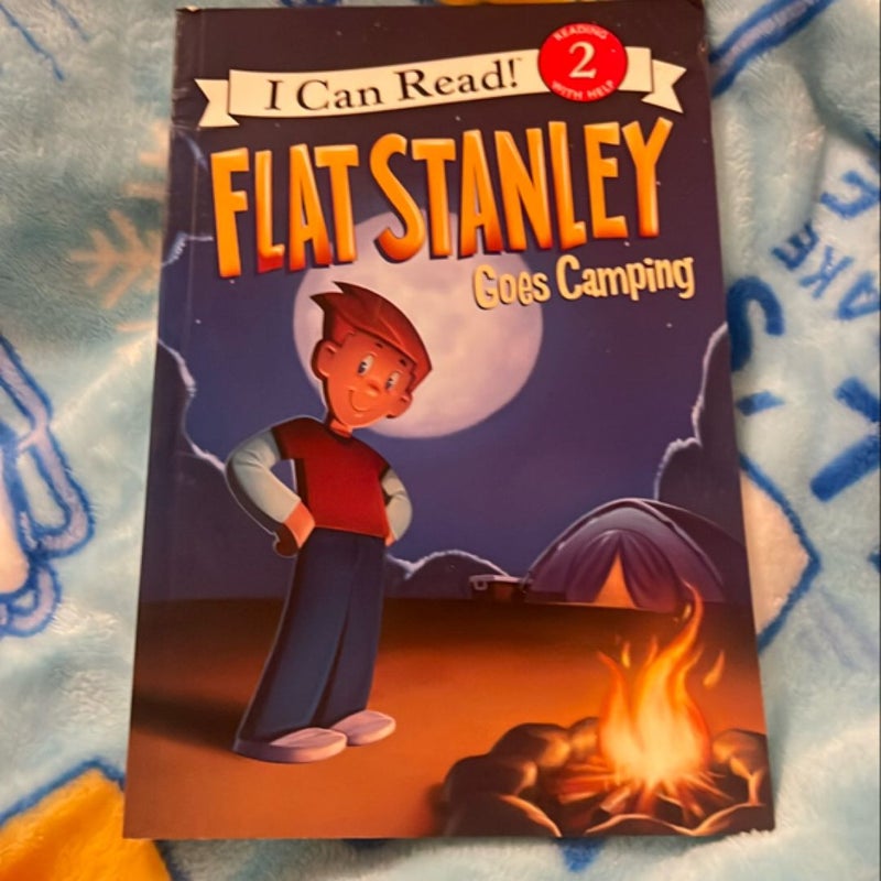 Flat Stanley Goes Camping