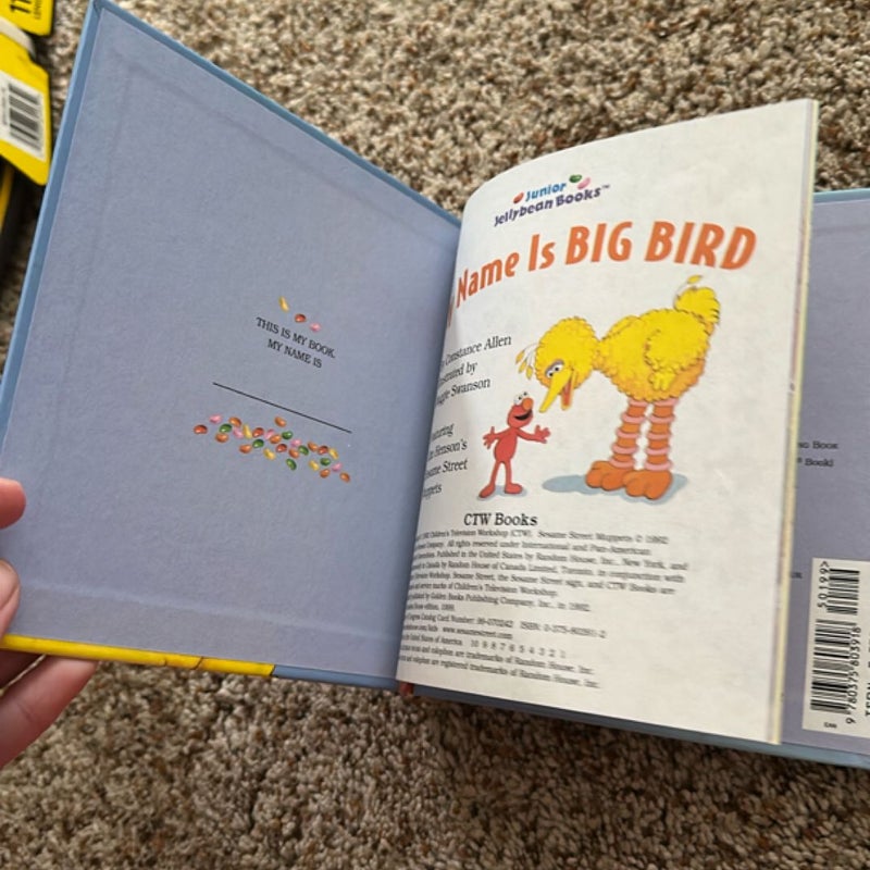 My name is big bird 
