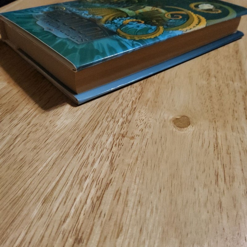 The Shadow World