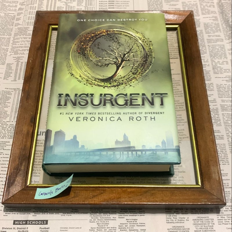 Insurgent