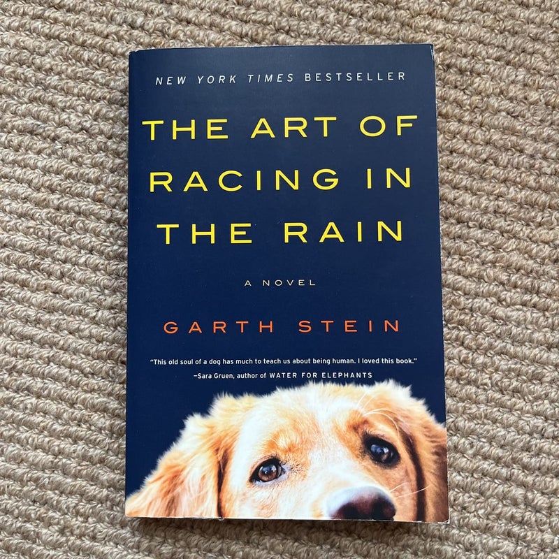 The Art of Racing in the Rain