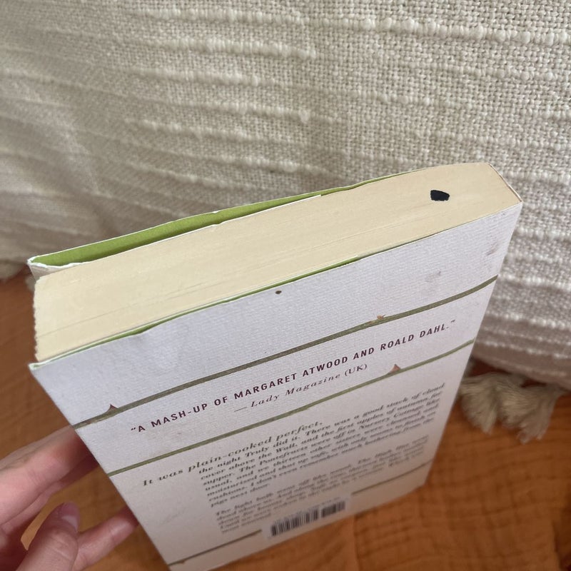 The First Book of Calamity Leek
