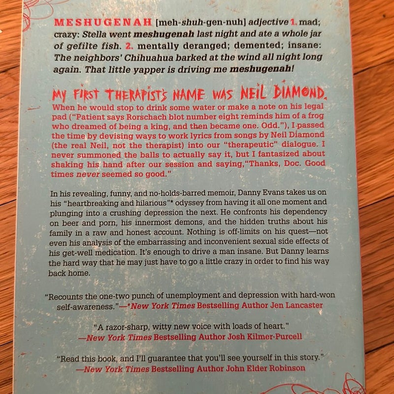 Rage Against the Meshugenah
