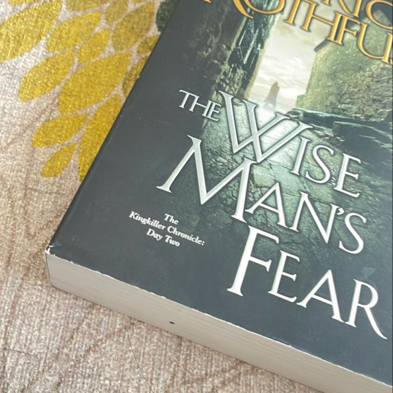 The Wise Man's Fear