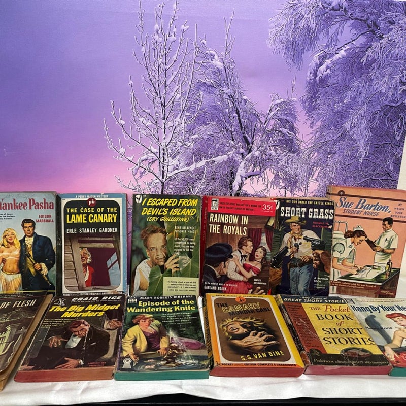 30 Book Bundle Vintage