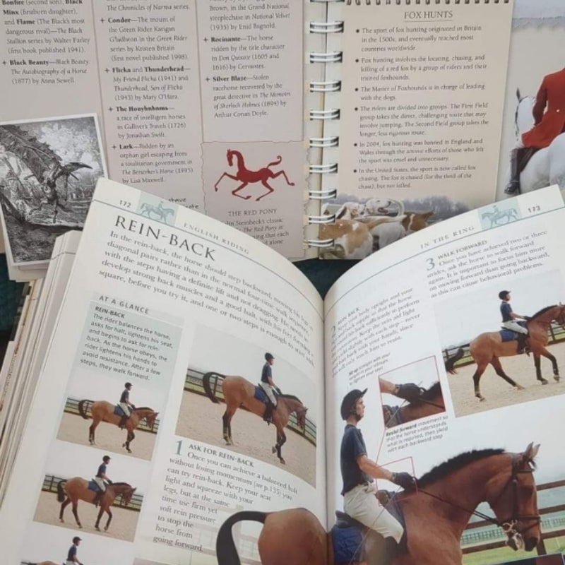 Horse Book Set (2 books) 