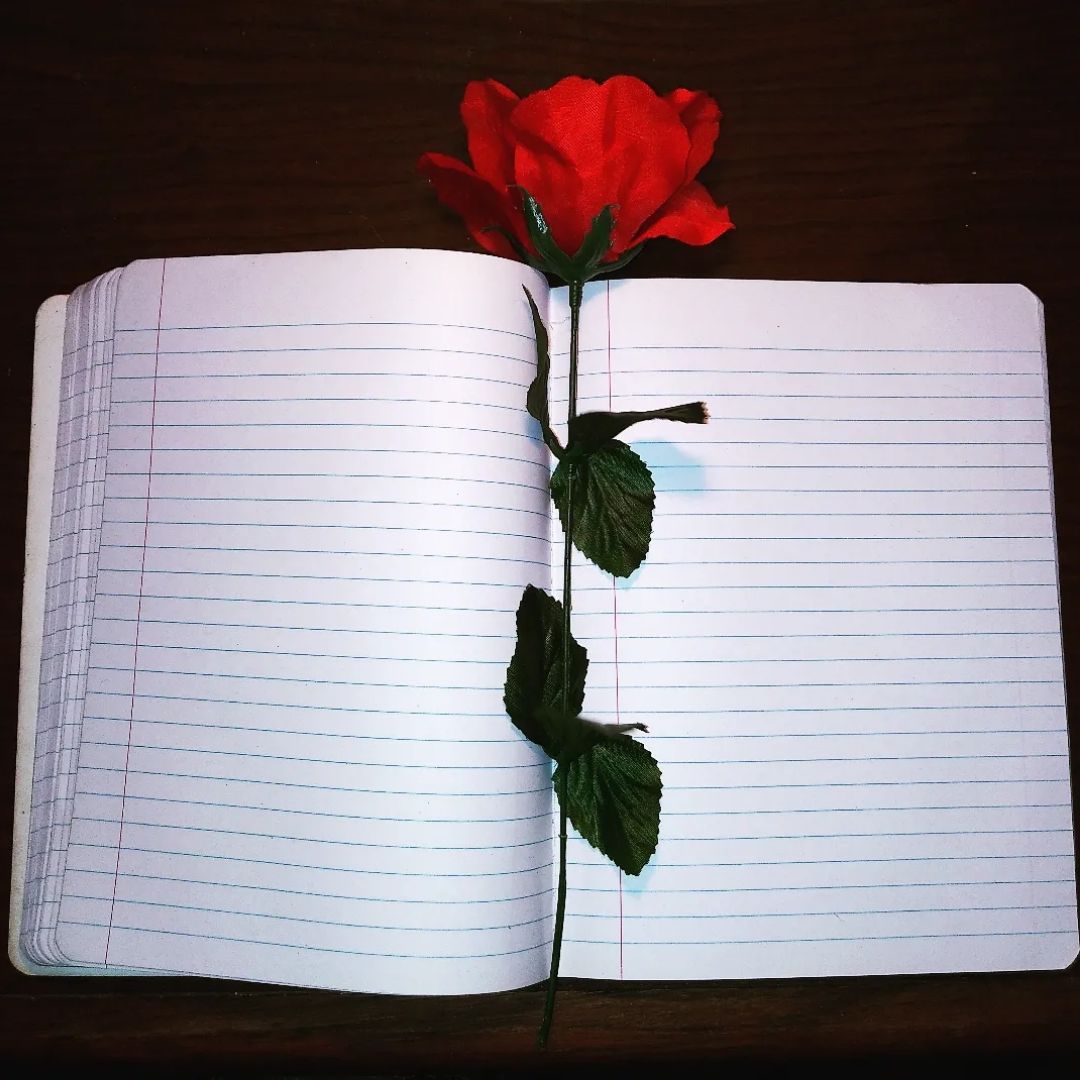 📚 The Blank Pages 📚