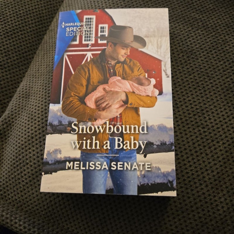 Snowbound with a Baby