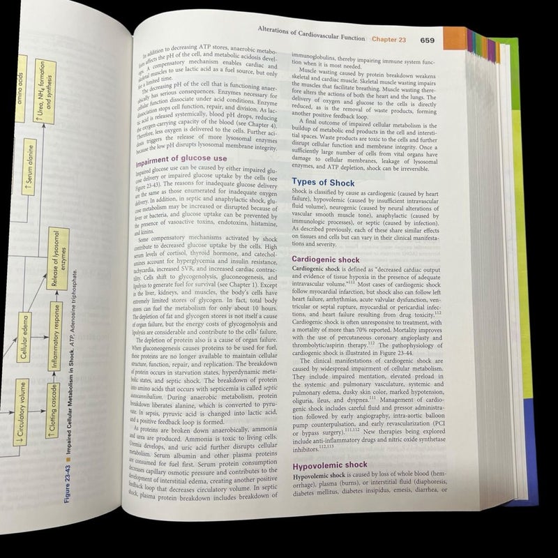 Understanding Pathophysiology