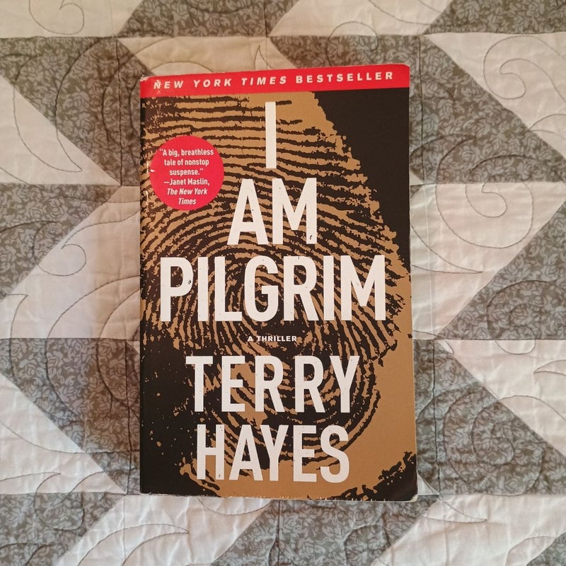 I Am Pilgrim