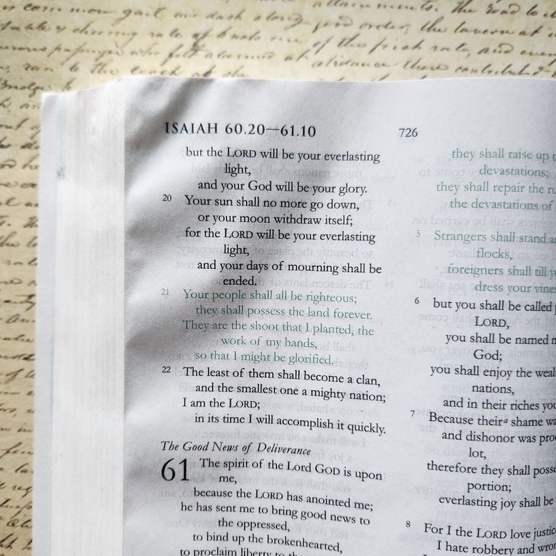 The Green Bible NRSV