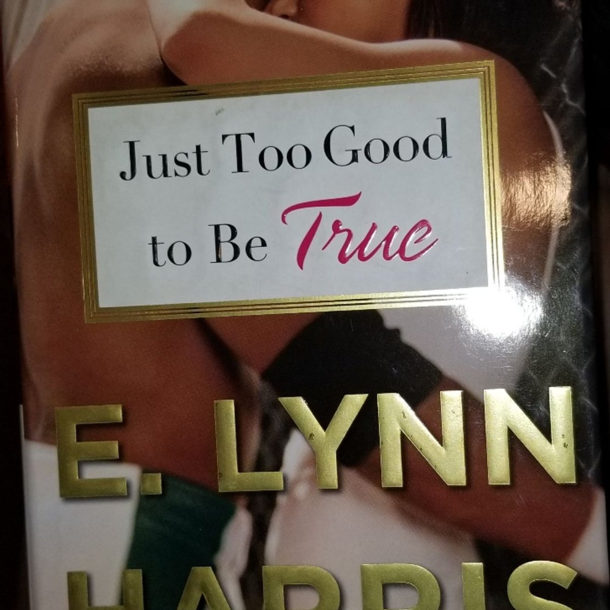 Just Too Good to Be True by E. Lynn Harris