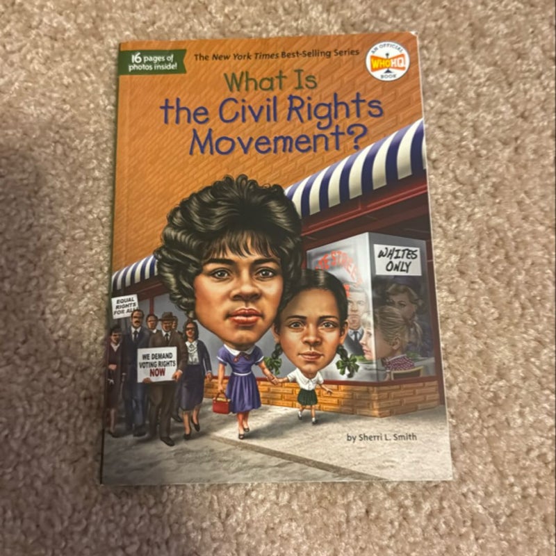 What Is the Civil Rights Movement?