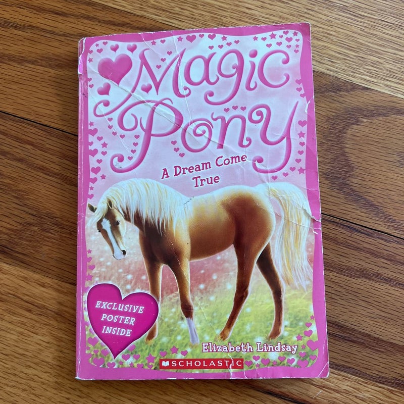 Magic Pony: A Dream Come True