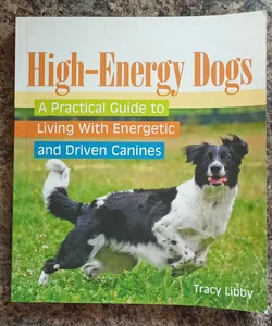 High Energy Dogs