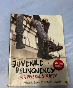 Juvenile Delinquency in a Diverse Society