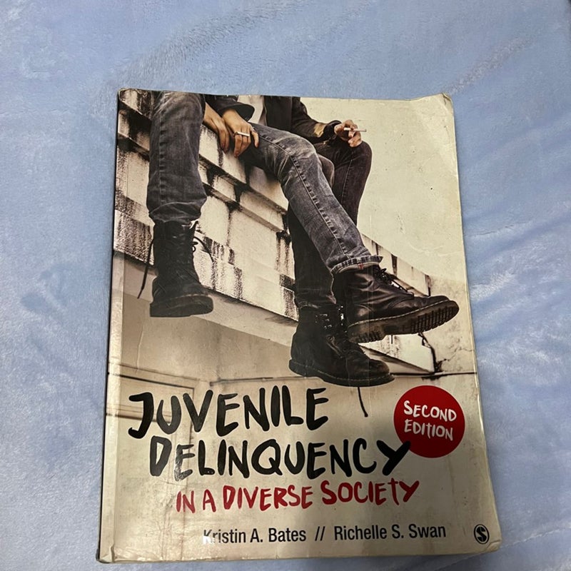 Juvenile Delinquency in a Diverse Society