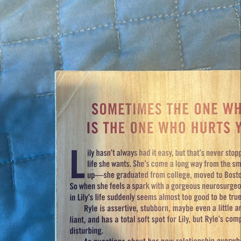 Colleen Hoover bundle 