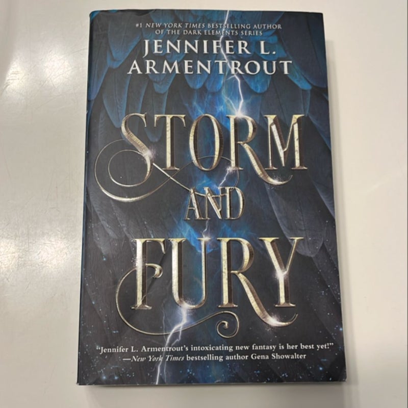 Storm and Fury